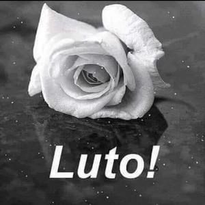 Meet your Posher, Julieta